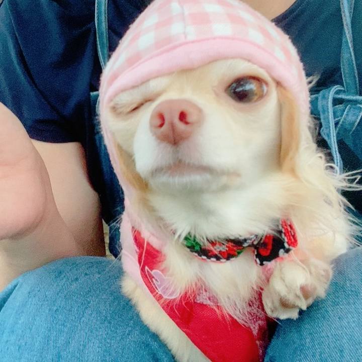 E7de4fab 6e86 4956 8a18 bfc83a9a7706 1626252158325