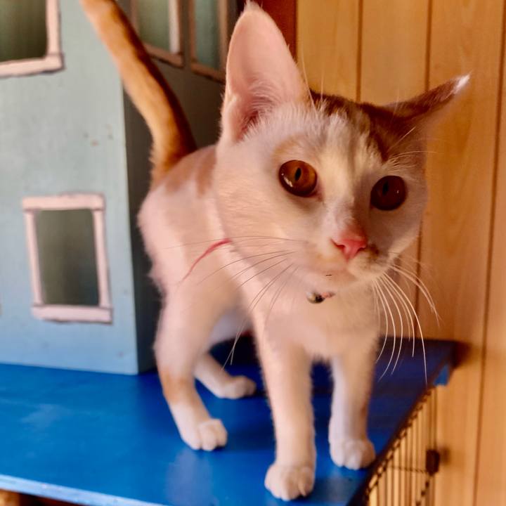 E7de6962 39b0 4afa a469 ad10032cf4c8 1765085801012