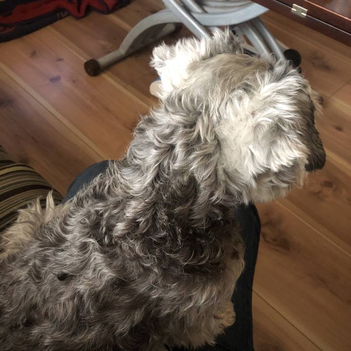 E7de9db4 9c33 43a9 a613 299fca0e8641 1520139711028