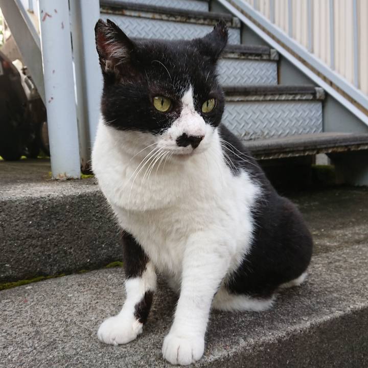 E7dea26a 49fe 4570 9b5c d4b9df5cb322 1599118164902