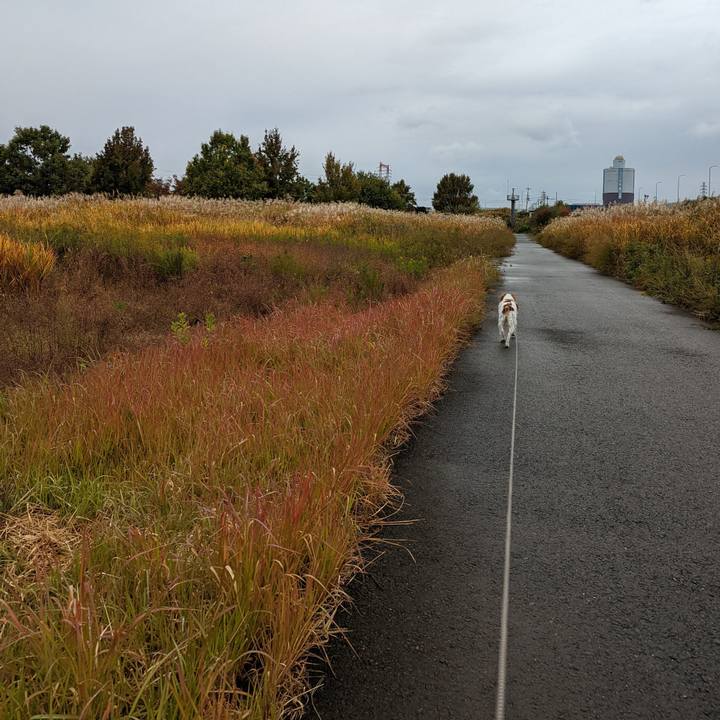 E7deb1d2 1498 4a99 bd47 0b81427911fc 1636443114823