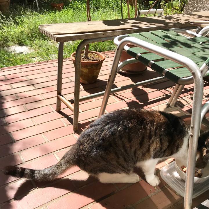 E7ded364 2520 4e6f 83e2 22d2ccfef1a9 1538396690292