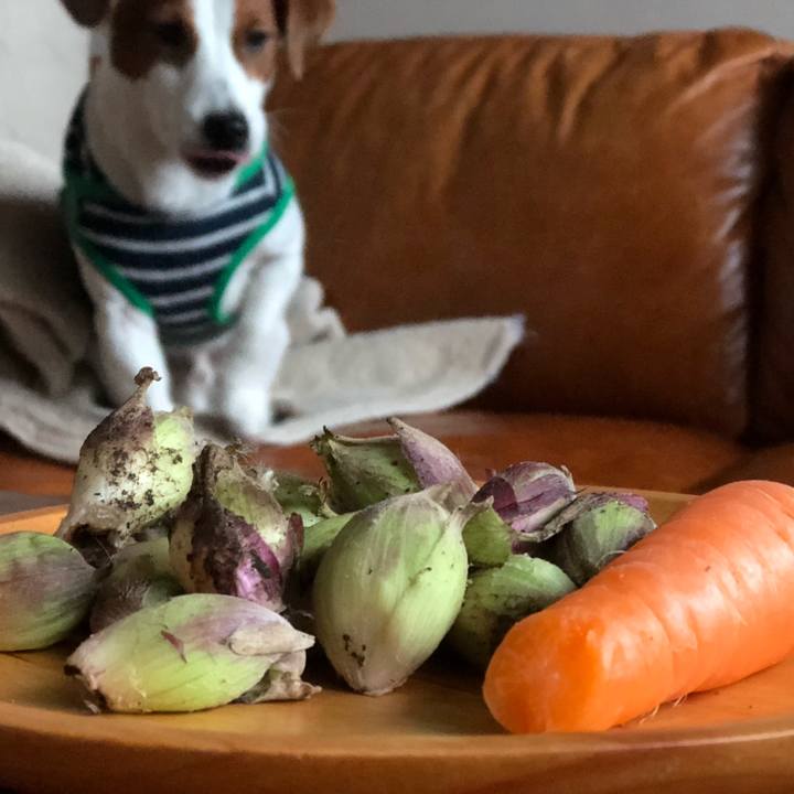 E7defd7d e50b 4242 a4e2 02533f6d111a 1547539384000