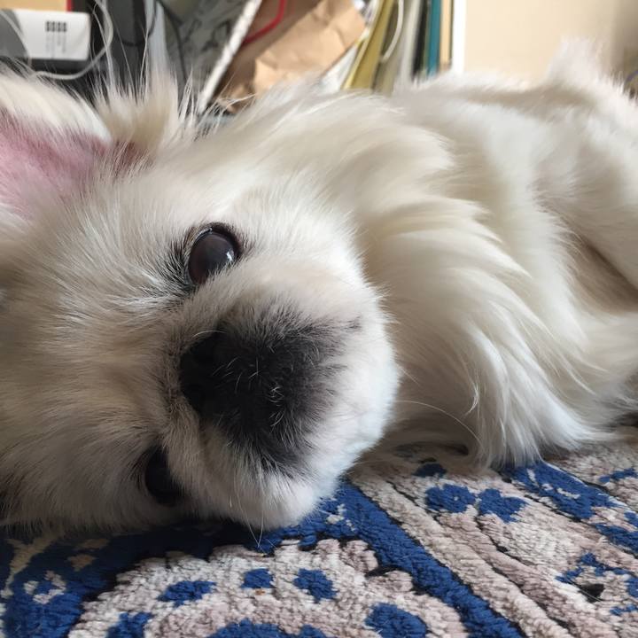 E7df4930 fa7f 4c51 8c3e 1f08f11eacce 1519968771637