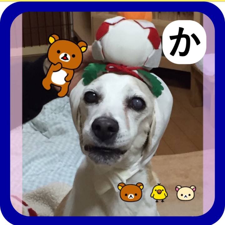 E7dfb7f7 53ad 41d9 b89b 33f6e85841a2 1515291555677