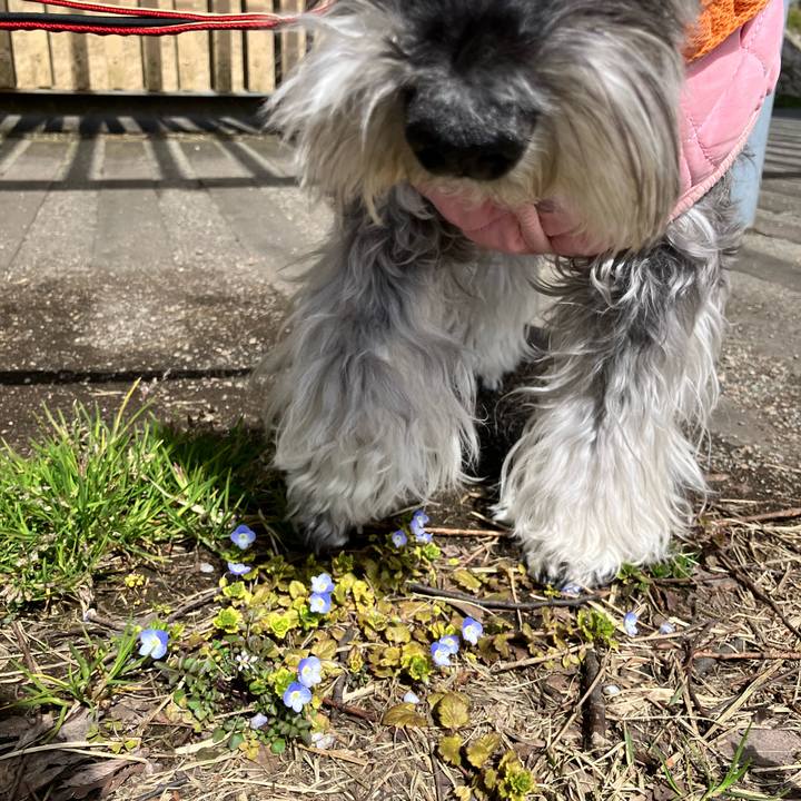 E7dfb864 2aae 478a 8f3f 094c5143806e 1773486031719