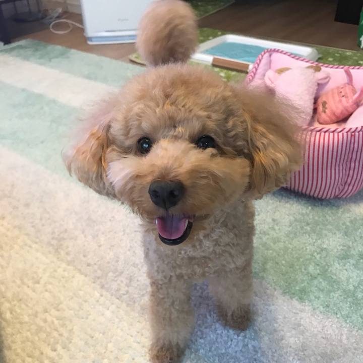 E7dfd41f 7fb8 4d92 9afa 154a110acfc5 1531386530759