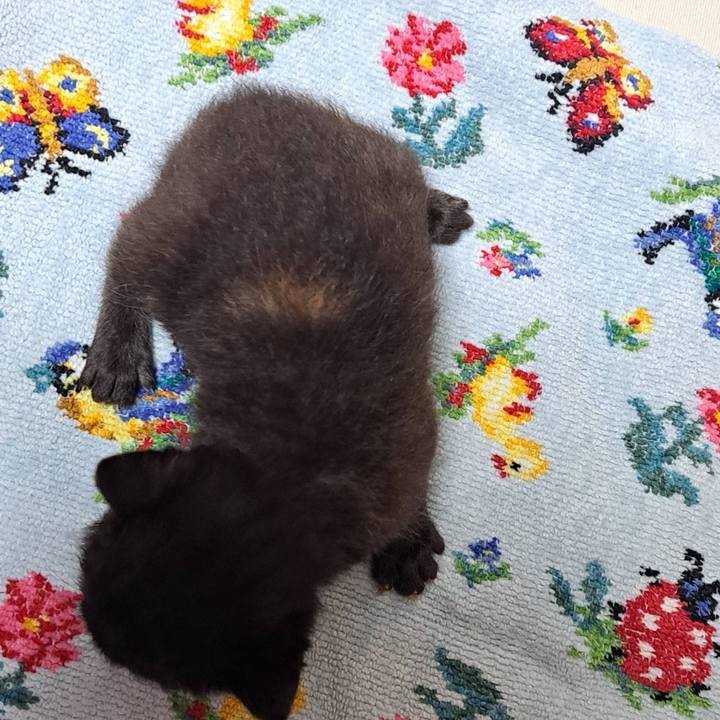 E7dfddd7 cb68 4b72 9ddb fee9afd88a96 1713497648221