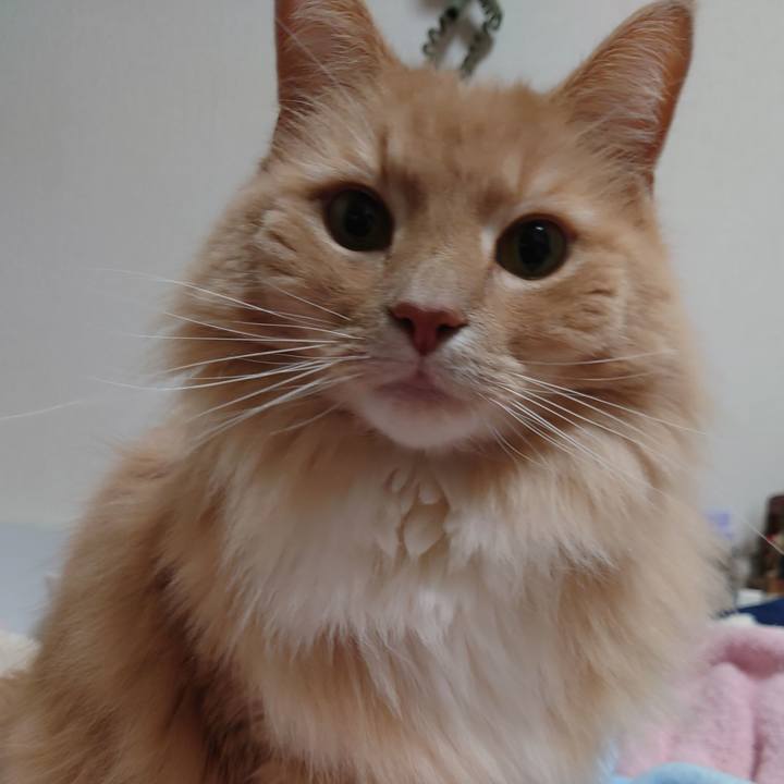 E7dff2a5 45f2 4803 b9b1 26c706507977 1616898980749