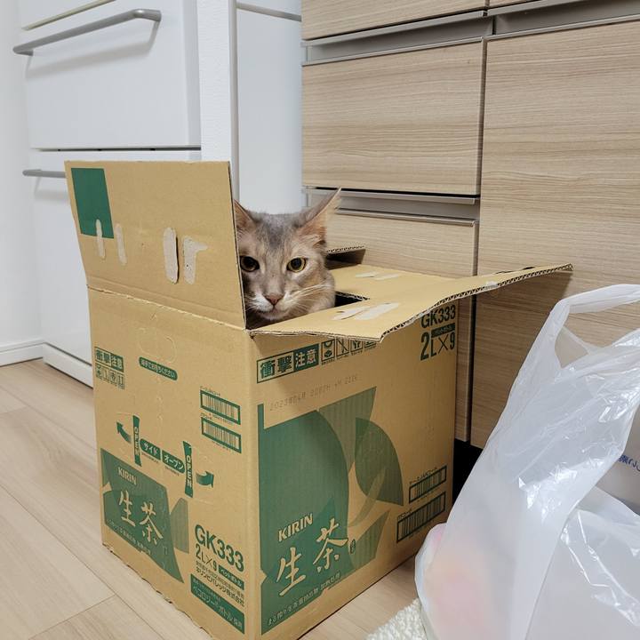 E7e00d3c 8b0d 4ba2 8363 50df16a78889 1666091373611