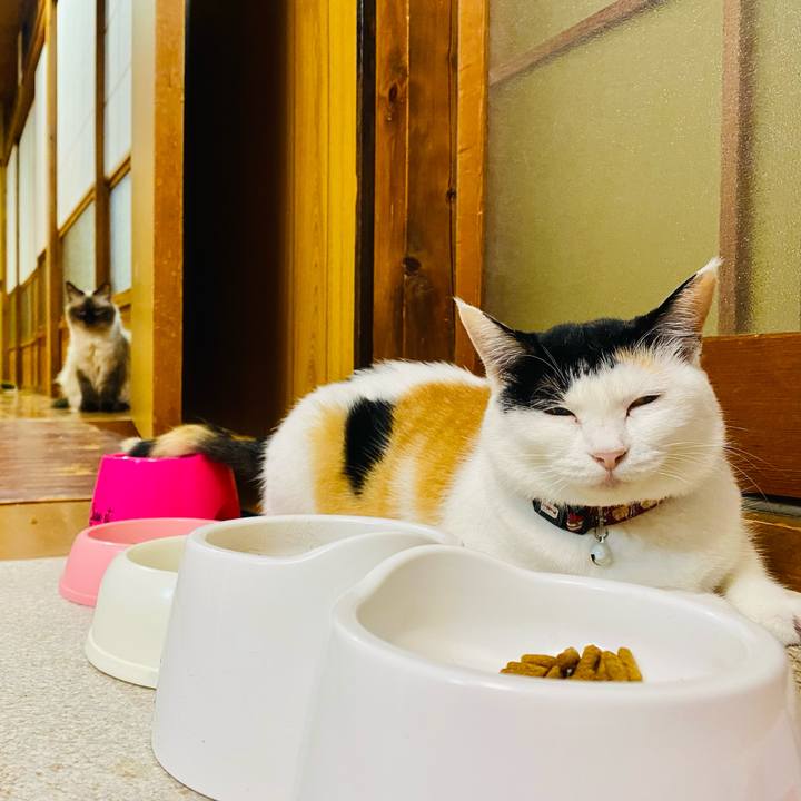 E7e02323 3945 4367 9fb6 57fe7bb36a34 1660744438127