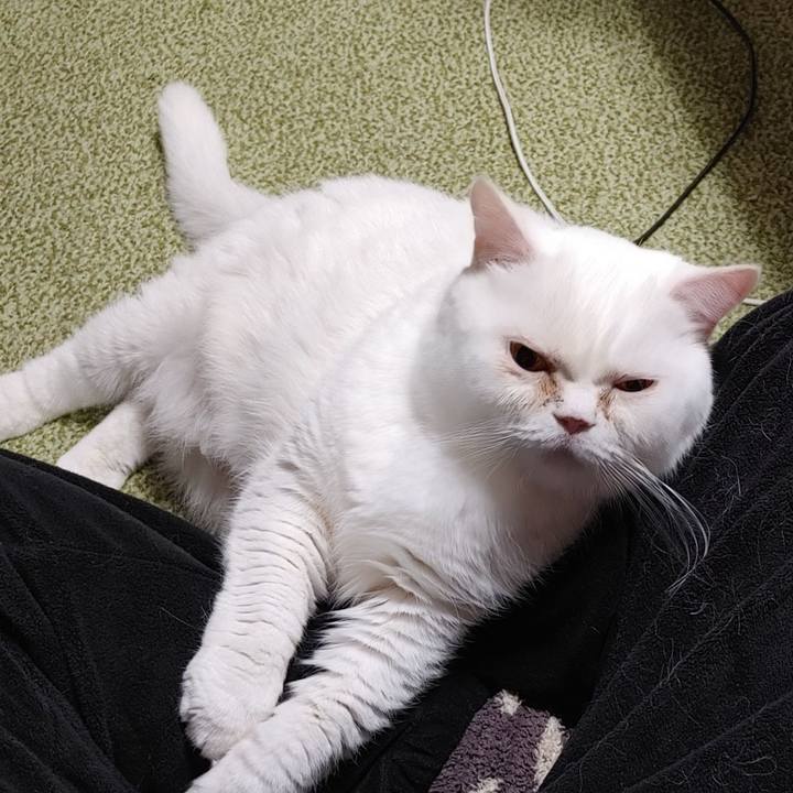 E7e08740 49d5 4324 9a13 657f63793dbc 1739483535624