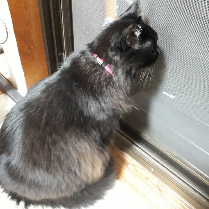 E7e0d63e 9f55 48af 9ac8 c54525cb6ce7 1517483835024