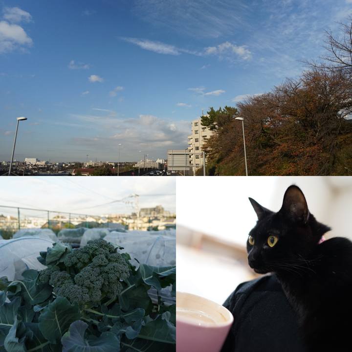 E7e0e96f 783d 4998 ba85 bc9865b0de71 1543063742184