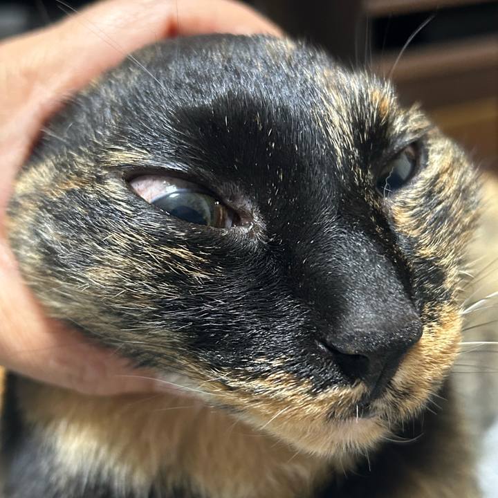 E7e0f96b 32ea 4bef bcce 178d9ef8eb6b 1777121402407