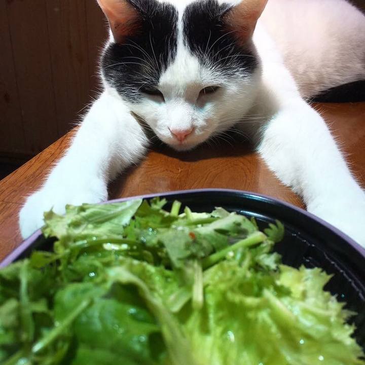 E7e14921 c6b8 4c3c a2d6 671ee119c2d7 1531719179743