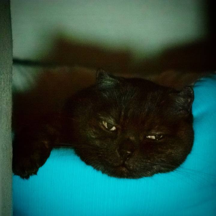 E7e18e17 7af9 440b b040 847965aa93fb 1624982722965