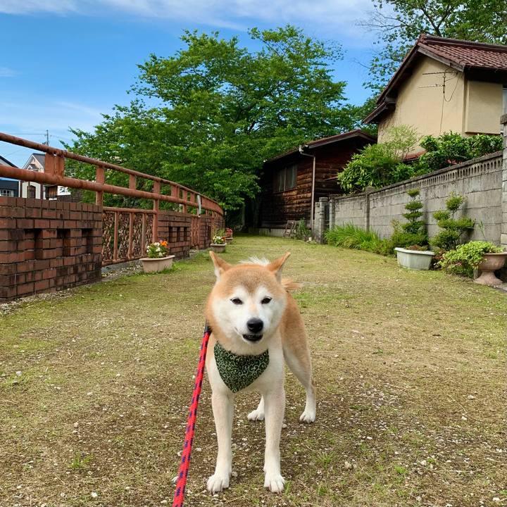 E7e1aaa0 5aff 4efd aca9 73c30f50d606 1688035545630