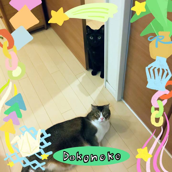 E7e1be16 bc4c 4e49 8e16 d0b5cec9d369 1755434301489