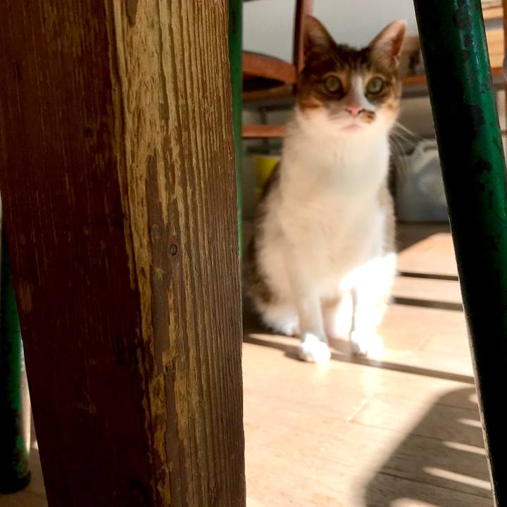 E7e1c095 670f 493f b229 1b5854e8f9f4 1512975537804