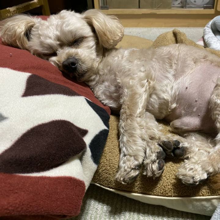 E7e1c1b0 3641 41a4 8a97 1cf0f7c5e316 1578060006982