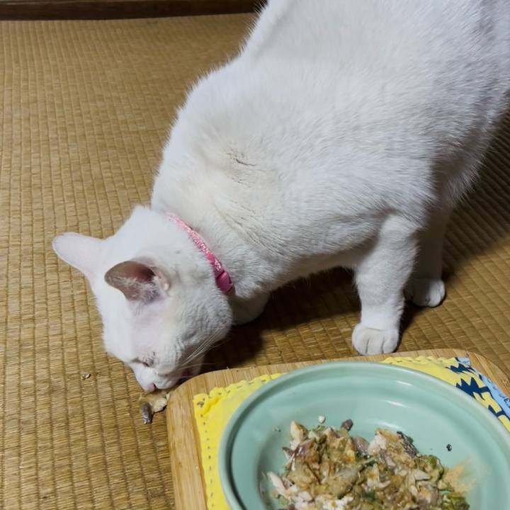 E7e1c472 7a19 4dcc 9742 25a0498be7e0 1769083104579