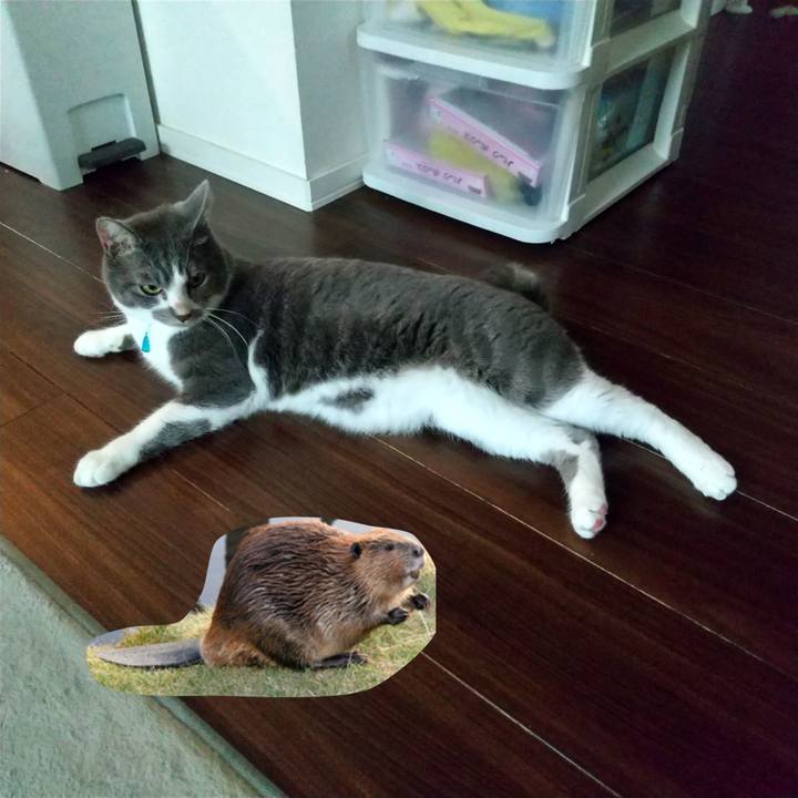 E7e1c476 6053 46c8 a190 35753875f643 1631325801450