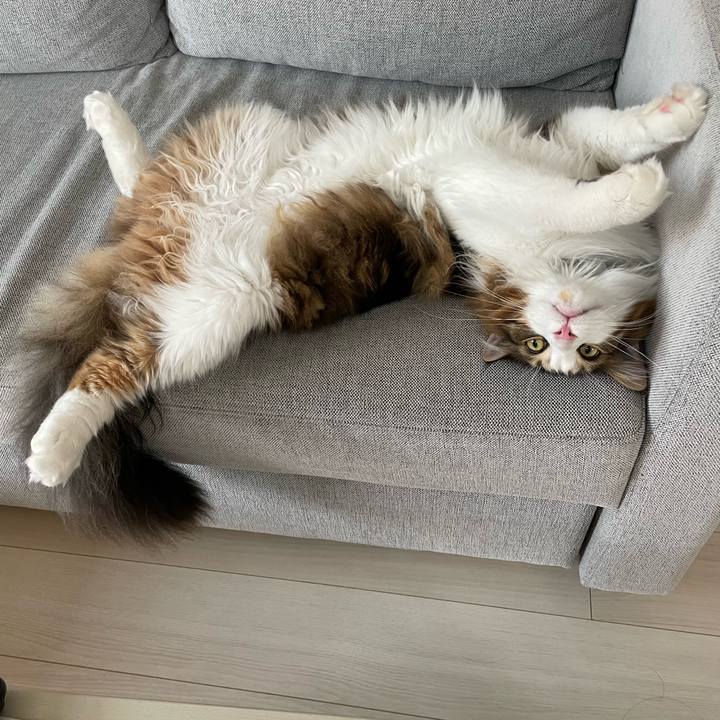 E7e1d99d cb9f 4482 8f01 4efc786a2036 1657239416433