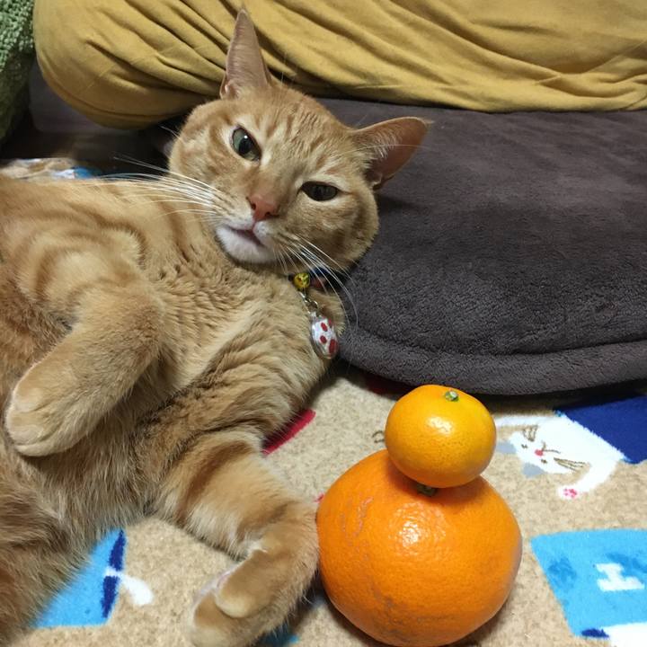 E7e1df00 9590 4f85 ac41 a77a82b1ed0b 1576064054563