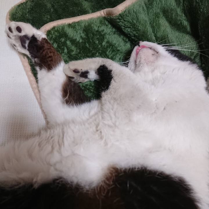 E7e1e89a 5b75 4eed a638 03a2331ada53 1561859414757