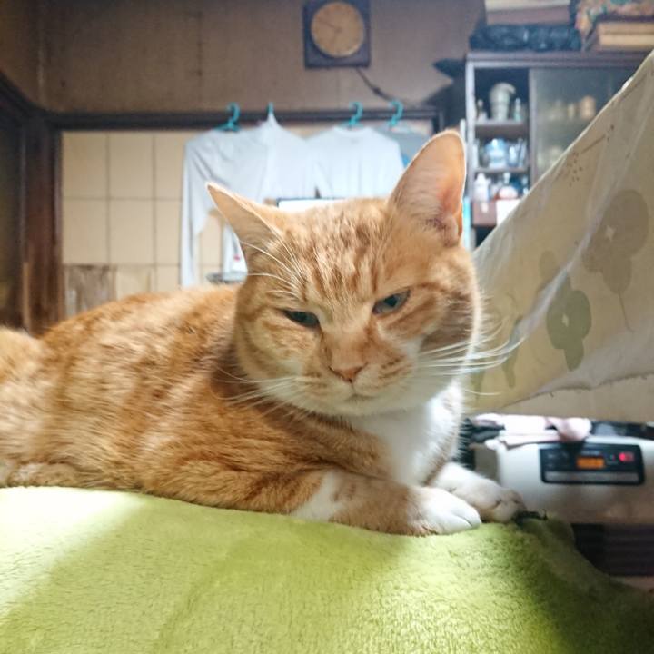 E7e1ef2a 7bf2 4d76 ae2e 8e9debcd3603 1608069059253