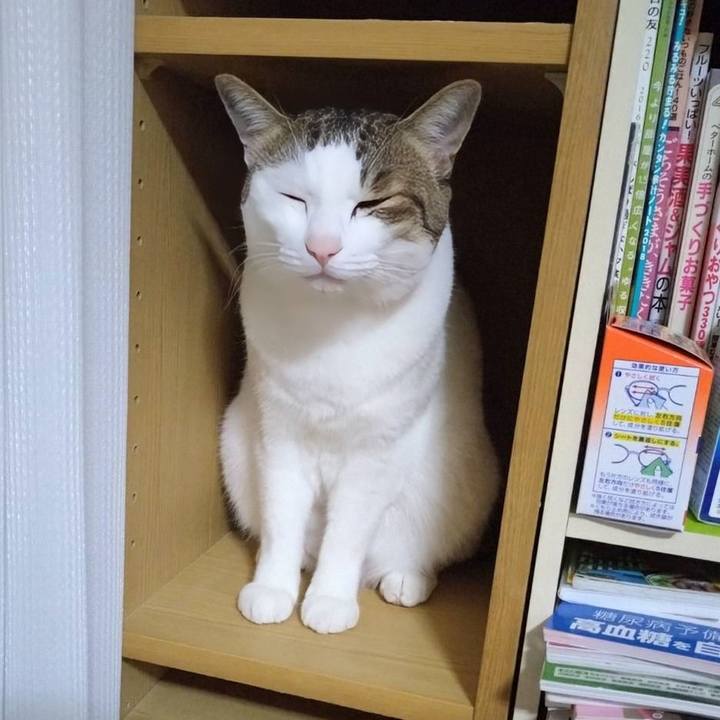 E7e2083f 909c 48fb 969c 983422f38d69 1759459745646