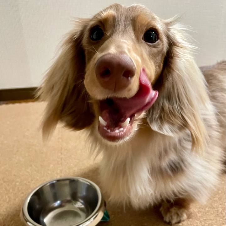 E7e211c8 9015 42e1 917d 83adb4db9ca0 1772975634025