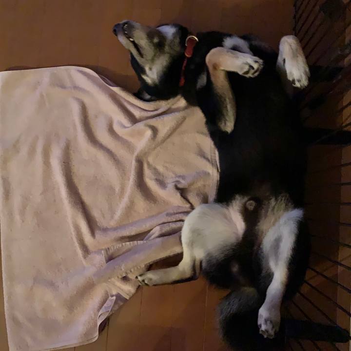 E7e227bc d7eb 428c 9db5 deb81b2b94d3 1594399146643