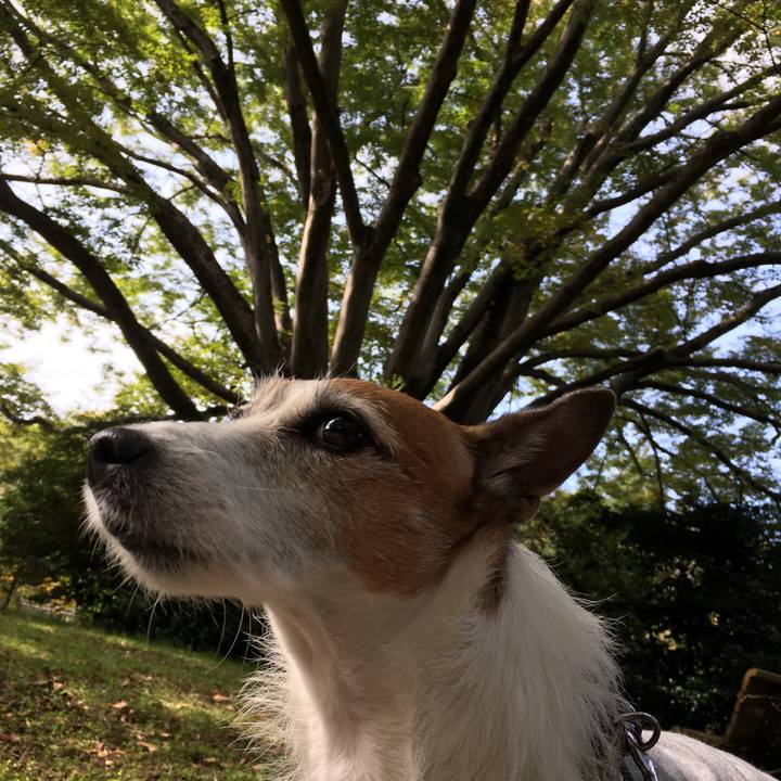 E7e22f6f 8ff2 4def 94dd a108ac0b5c91 1604446084153