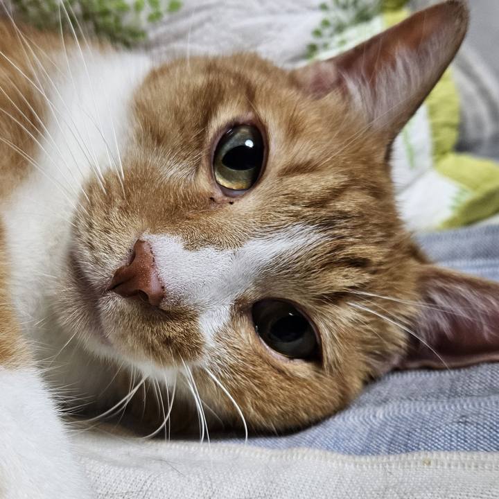 E7e23d1c 6715 4efc 9266 d9bd29ae130a 1752923705325