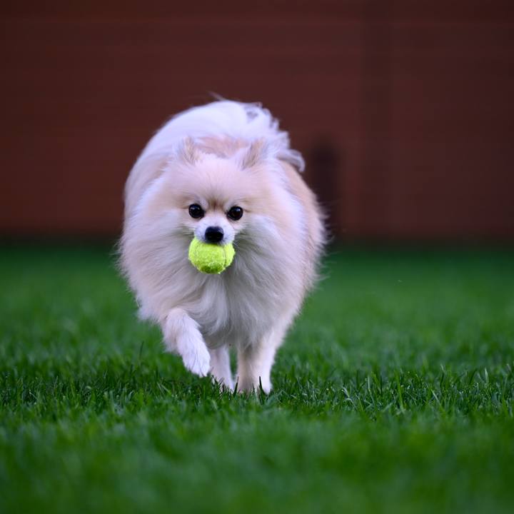 E7e23d67 b97d 44e0 baad 328e215598b6 1759570343246