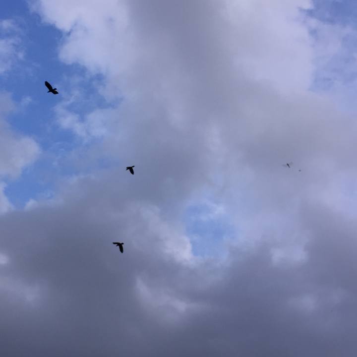 E7e249b9 b06d 467f b4a5 51c812cdebe2 1507707758554