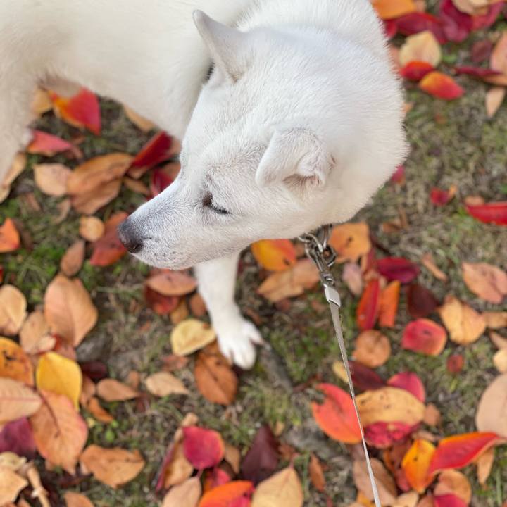 E7e2625d 6715 4183 8842 8b08175807c8 1733360506071