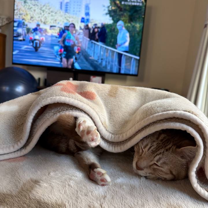 E7e28f67 e6f9 4ae4 b205 17ebad0150c6 1735782688857