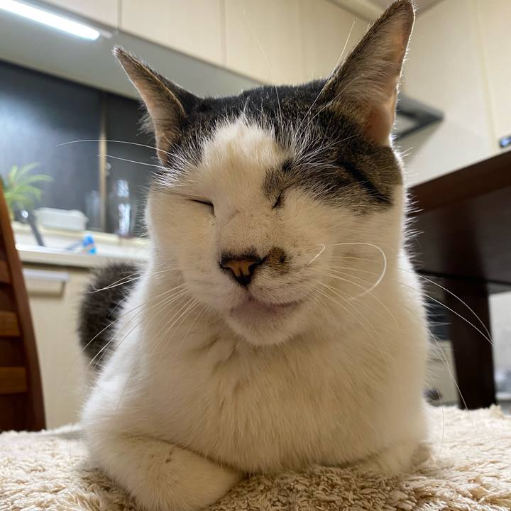 E7e2d184 6295 4f0c 9d70 465f262c913f 1673626880100