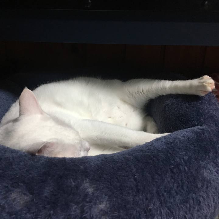 E7e2dfbf a9c0 4ce5 be17 1c6673c08125 1537327740454