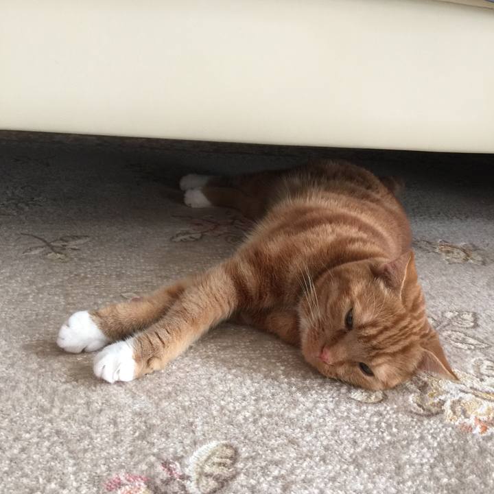 E7e2e2a8 7c05 41a9 a7ef 572772ebcfbc 1563696755808