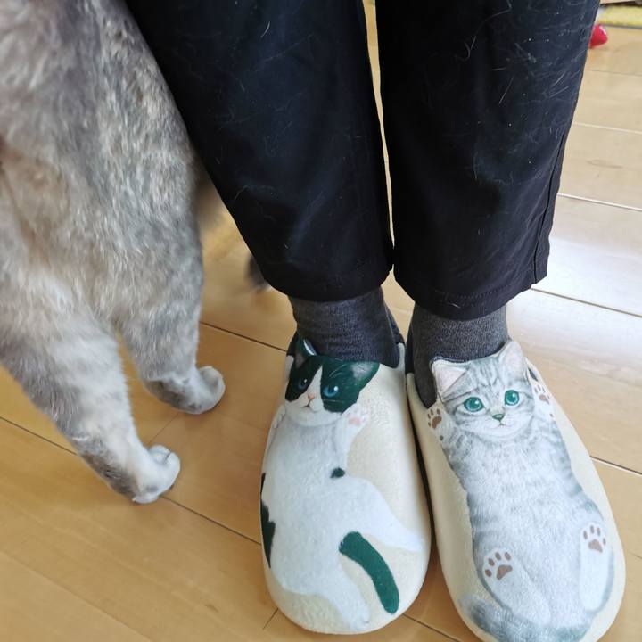 E7e2e7bf b390 45b1 a986 eca12665cbae 1681444086995