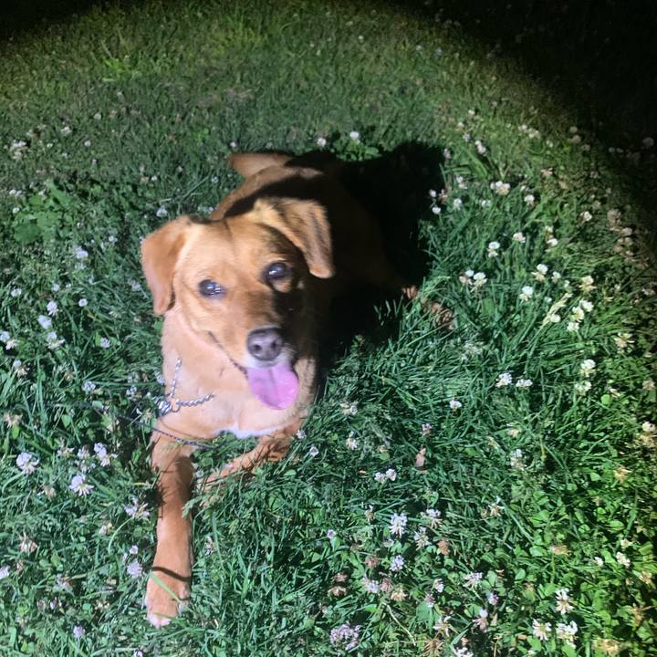 E7e31062 b084 4418 bec5 019e9c171451 1620484929233