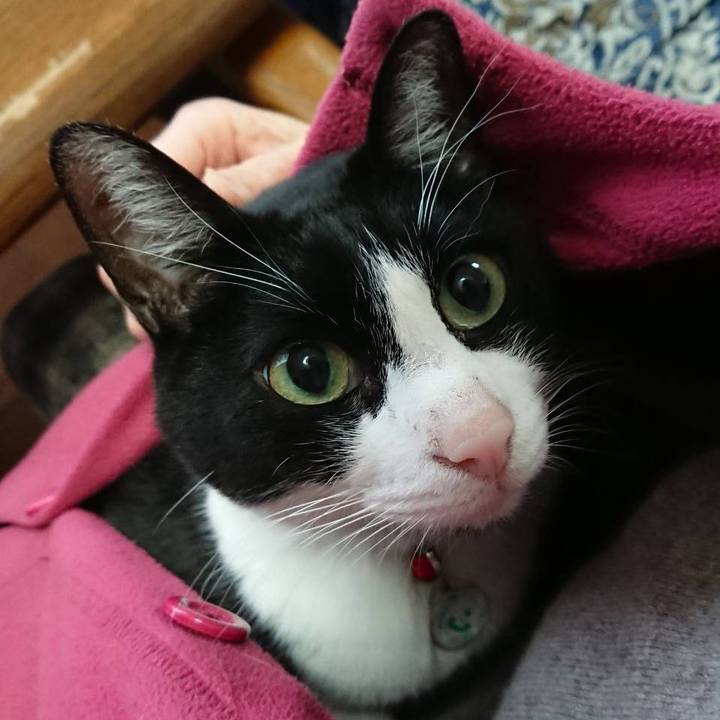 E7e3239c 1ccc 4a17 8959 41288494effc 1645799615618