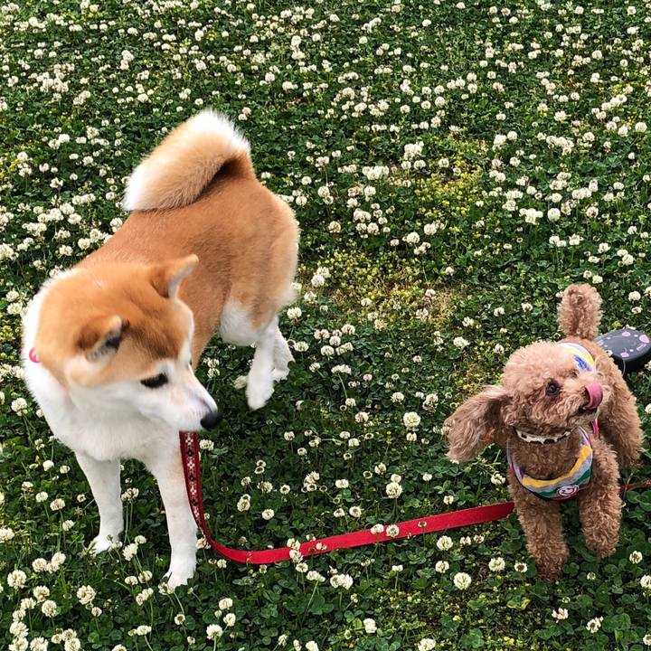 E7e350c9 0f1d 44a7 9954 713d317de78c 1556327319695