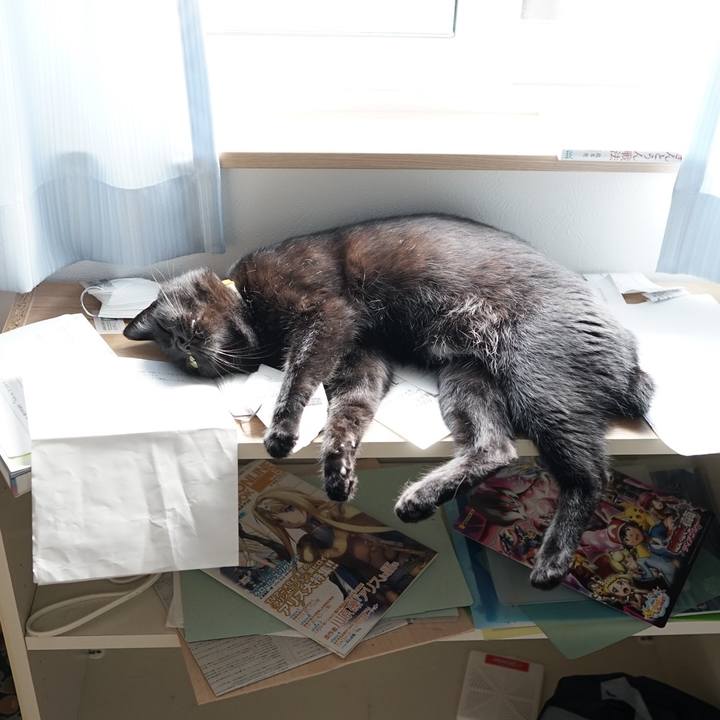 E7e353c1 5115 47ce 81c6 45cde30eccd5 1560988263952