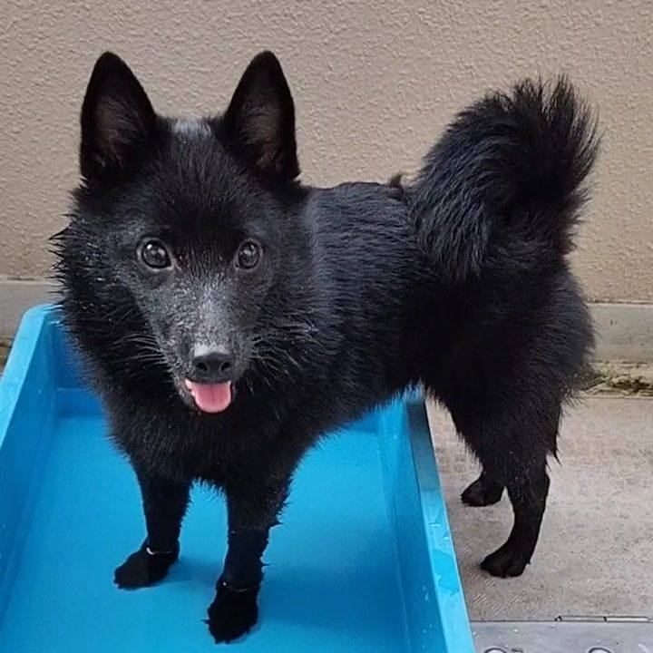 E7e35474 b5eb 46bf 940a 8a642576b6c9 1755990464180