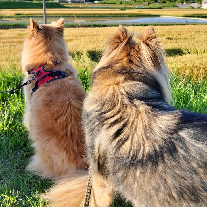 E7e393f9 de63 40f5 8d6e fa29cc16c408 1685362423134